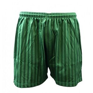 Carta Sport Unisex Adult Seriea Shorts / Bottle Green